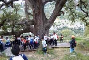 El Barranc dels Horts